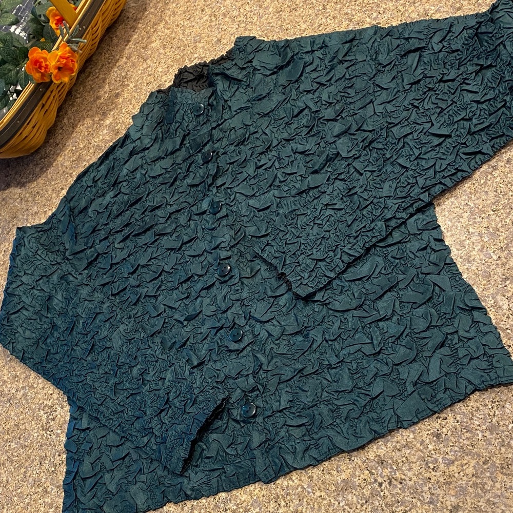 Pleats Collection By Pings Imports Small Crinkle Long Sleeve Top FLAWS and MUSTY